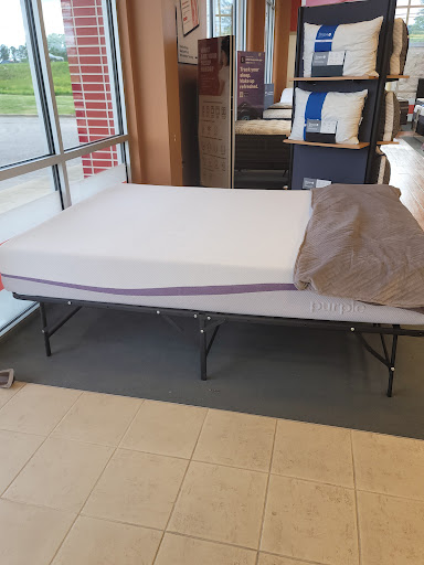 Mattress Firm Eastchase - Thumbnail