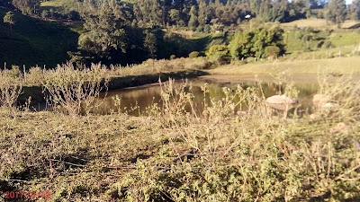 Photos of Mugumoini Tea Collection Centre