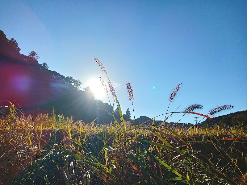 無添加無香料のお宿 いな香