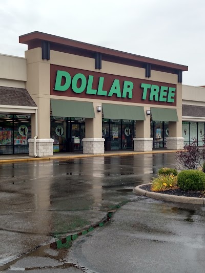 Dollar Tree