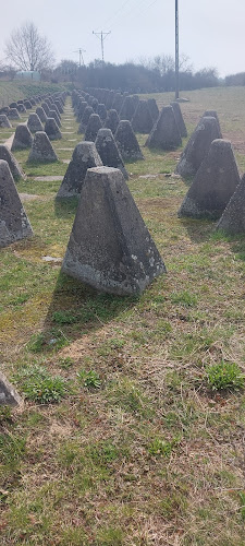 Opinie o Międzyrzecki Rejon Umocniony (MRU) - Pętla Boryszyńska w Sulęcin - Muzeum