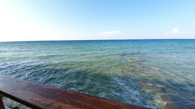 Αξιολογήσεις για το Fish Taverna Andreas στην Δροσιά - Εστιατόριο
