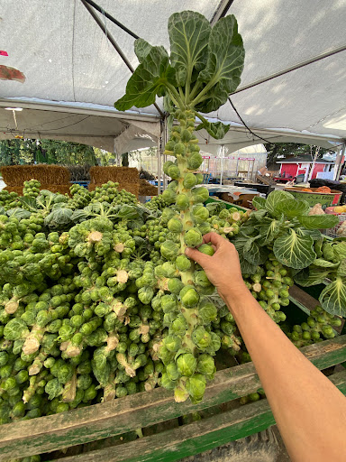 Farmer’s Market Richmond - Thumbnail