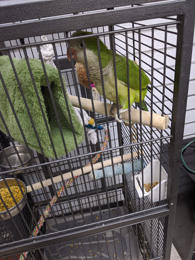 Rick's Pet Stores - Visual