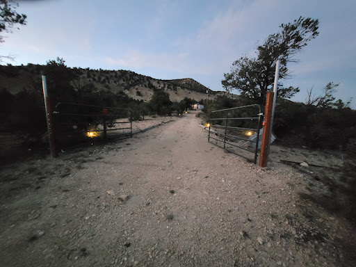 Twisted Acres - Visual