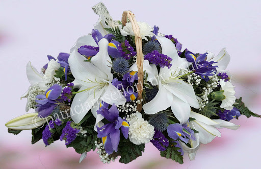 Patricia Rose Floristry