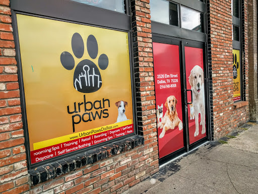 Urban Paws - Visual