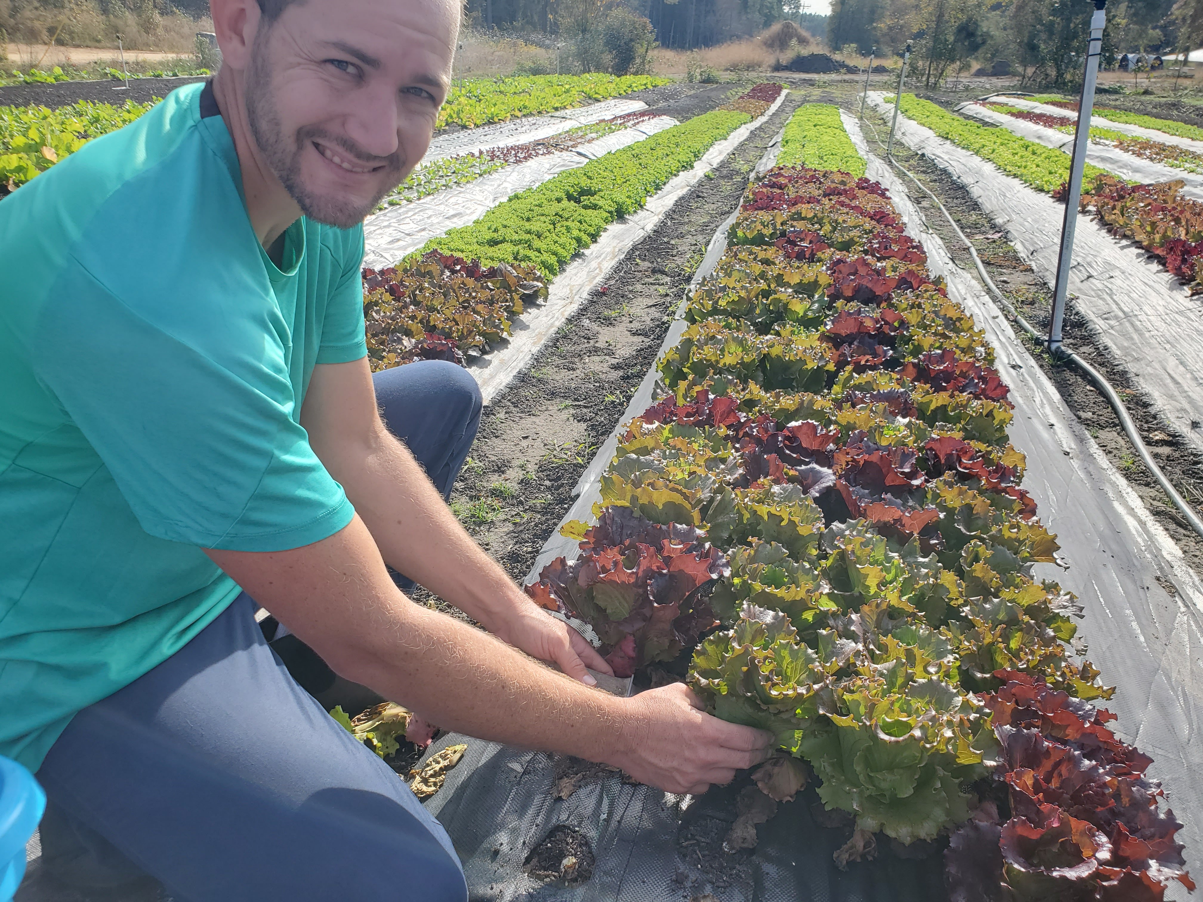 Crossroad Farm and Garden
