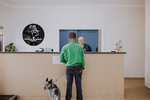 Gunnedah Veterinary Hospital
