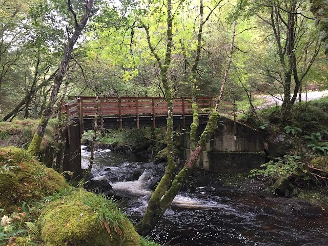 Sutherland's Grove forest walks