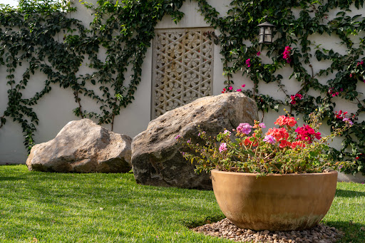 Sara Ena Hernández Hernández