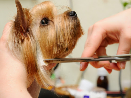 Stateline Animal Hospital Gallery - United States