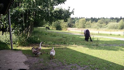 Photos of Bylderup-Bov B&B