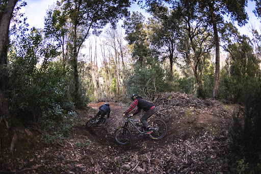 Tuscany-bike - Thumbnail