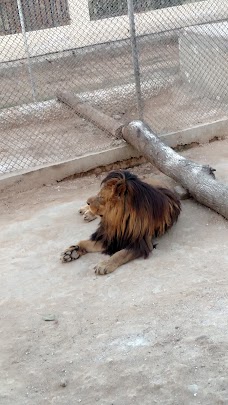 Bahria Town Zoo rawalpindi