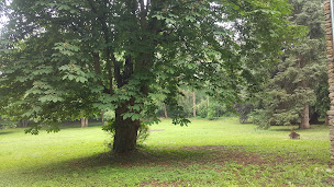 Photo n°7 de Domaine le Saule Madame à Thieux (Lieu de mariage)