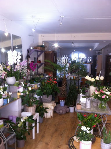 MELODIE FLORALE