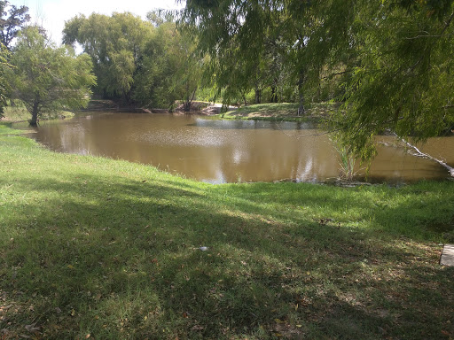 Symphony Park - Visual