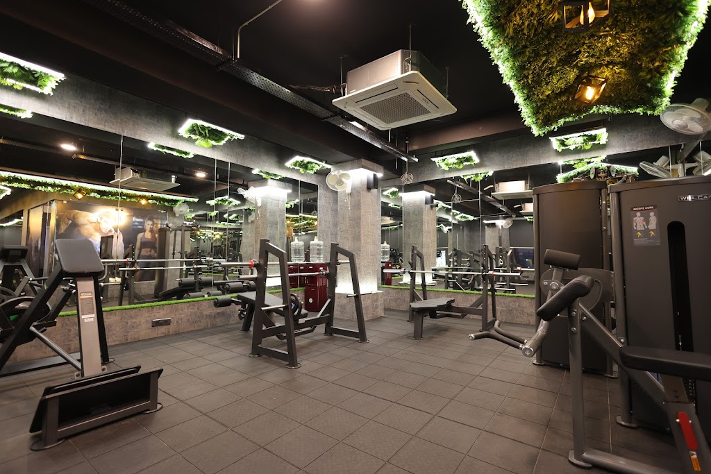 Signature Fitness Studio