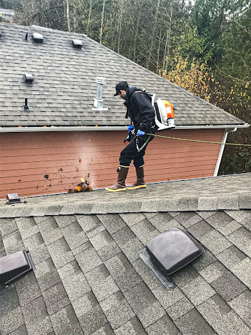 Photo of SAFE Roof Cleaning Moss Removal and Gutter Cleaning located in  - Verified Gutter Cleaning Service near me.