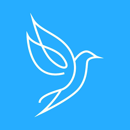 Flying Freely - Visual