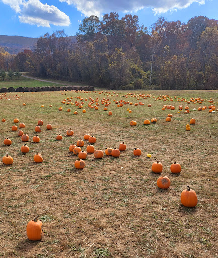 Layman Family Farms - United States