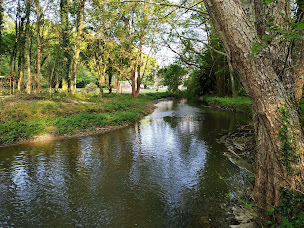 Photo n°18 de Le Moulin et l'Olivier. à Valencisse (Moulin)