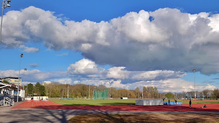 Swansea Harriers Athletics Club