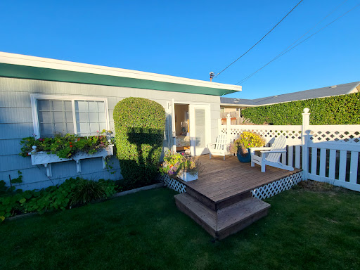 Martha's Cottage - Visual