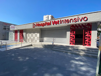 Hospital Veterinário Vet Intensivo - 24 Horas