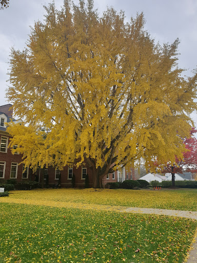 Asbury Theological Seminary - Thumbnail