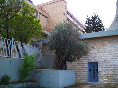 Photos of Warm Maronite Church of Our Lady