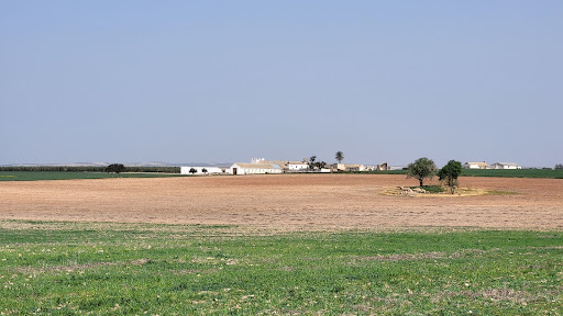 La Romera Casa Rural y Observatorio Ornitologico - Thumbnail