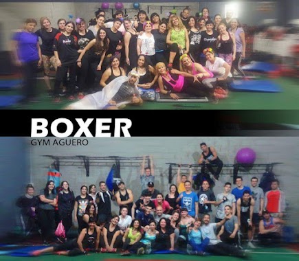 Boxer Gym, Author: Boxer Gym