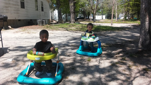 Pitts Street Park