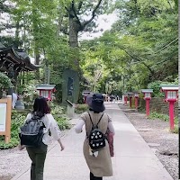 高尾山の杉並木