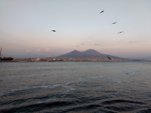 Assicurazioni Corcione - Thumbnail