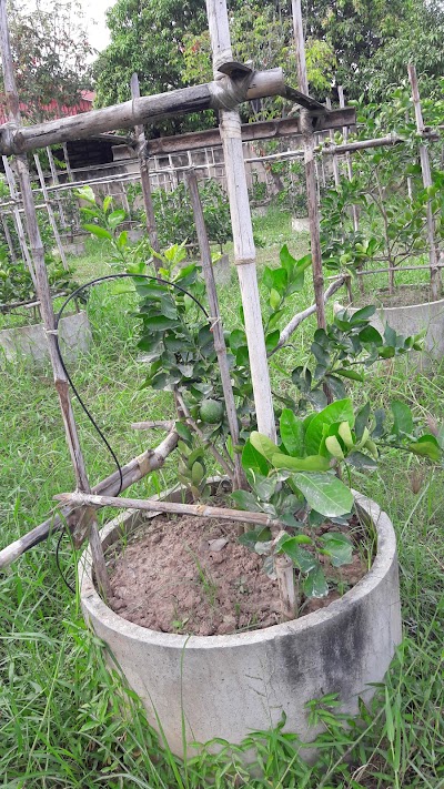 Photos of Kannika Modern Farm