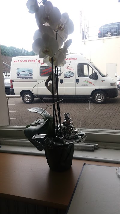 Photos of Autohaus Barkschat GmbH