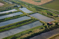 EARL La Ferme Aquacole de Neyran à Soulac-sur-Mer