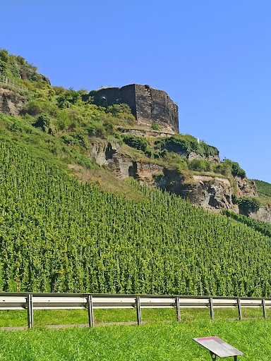 Weingut & Gästehaus Jakoby - Thumbnail