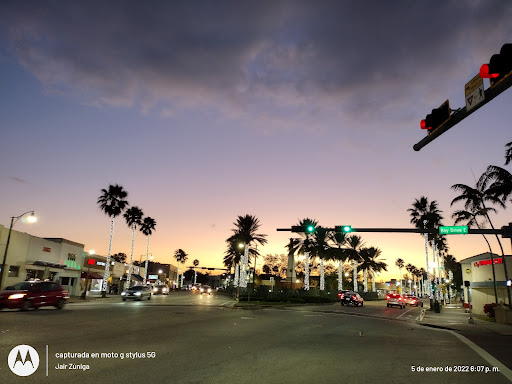 Miami LIVE - Visual