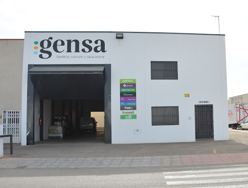 Gensa - Visual