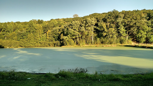 Abe Stone Park
