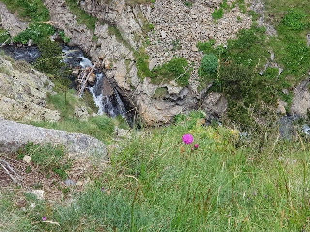Vall de Núria