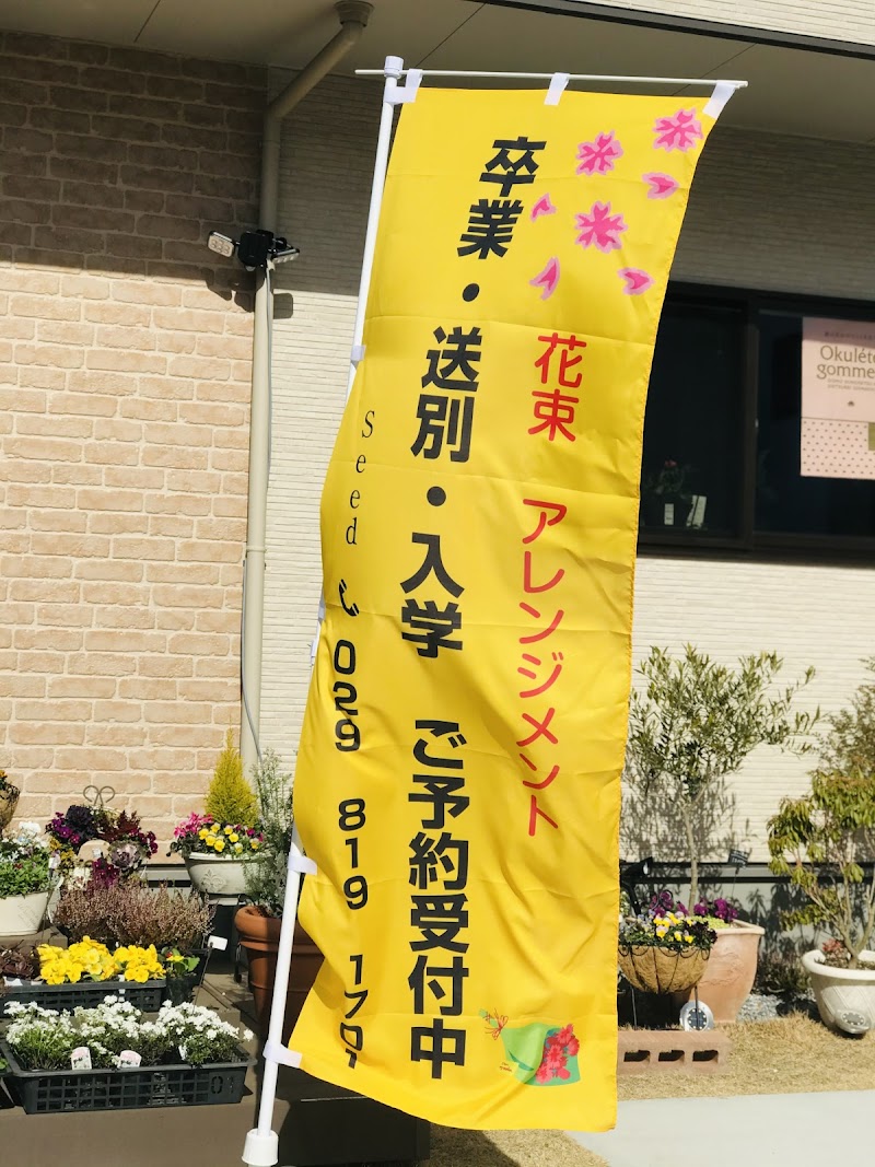 Flower Green幸福の種seed 茨城県つくば市学園の森 花屋 グルコミ