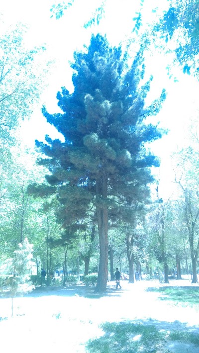 Photos of Shahre Naw Park