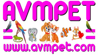 Photos of Avmpet