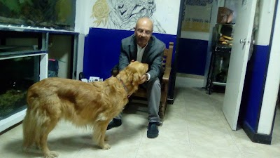 Photos of Veterinary Specialty Center