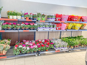 Photo n°32 de Lidl à Évian-les-Bains (Supermarché)